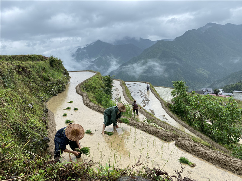 【生物多樣性保護】在錢江源頭，看生物多樣性保護的中國樣本